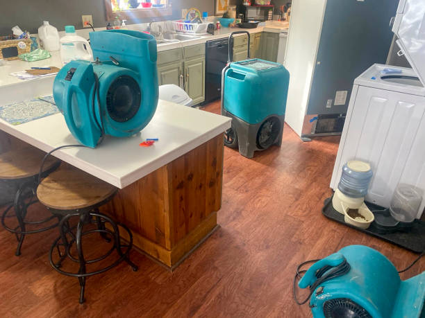 Best Water damage cleanup near me  in Krugerville, TX