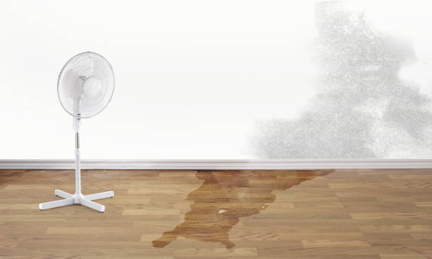 Best Flood restoration services  in Krugerville, TX