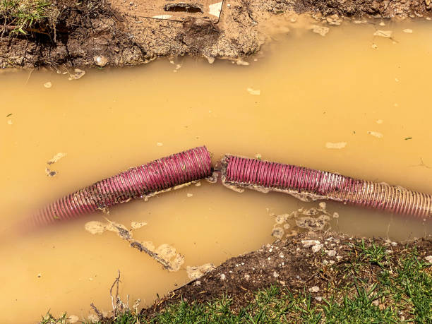 Best Commercial water damage restoration  in Krugerville, TX